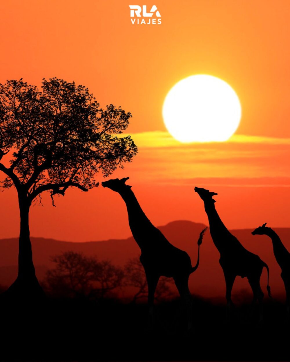 🇿🇦  Sudáfrica 2026: Salida grupal acompañada desde Montevideo