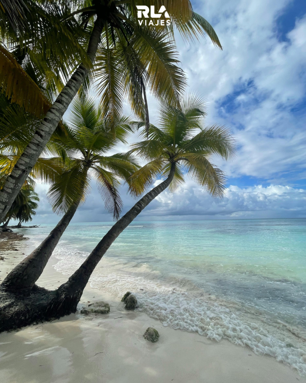 Punta Cana - 06 al 14 de Octubre 2026 -