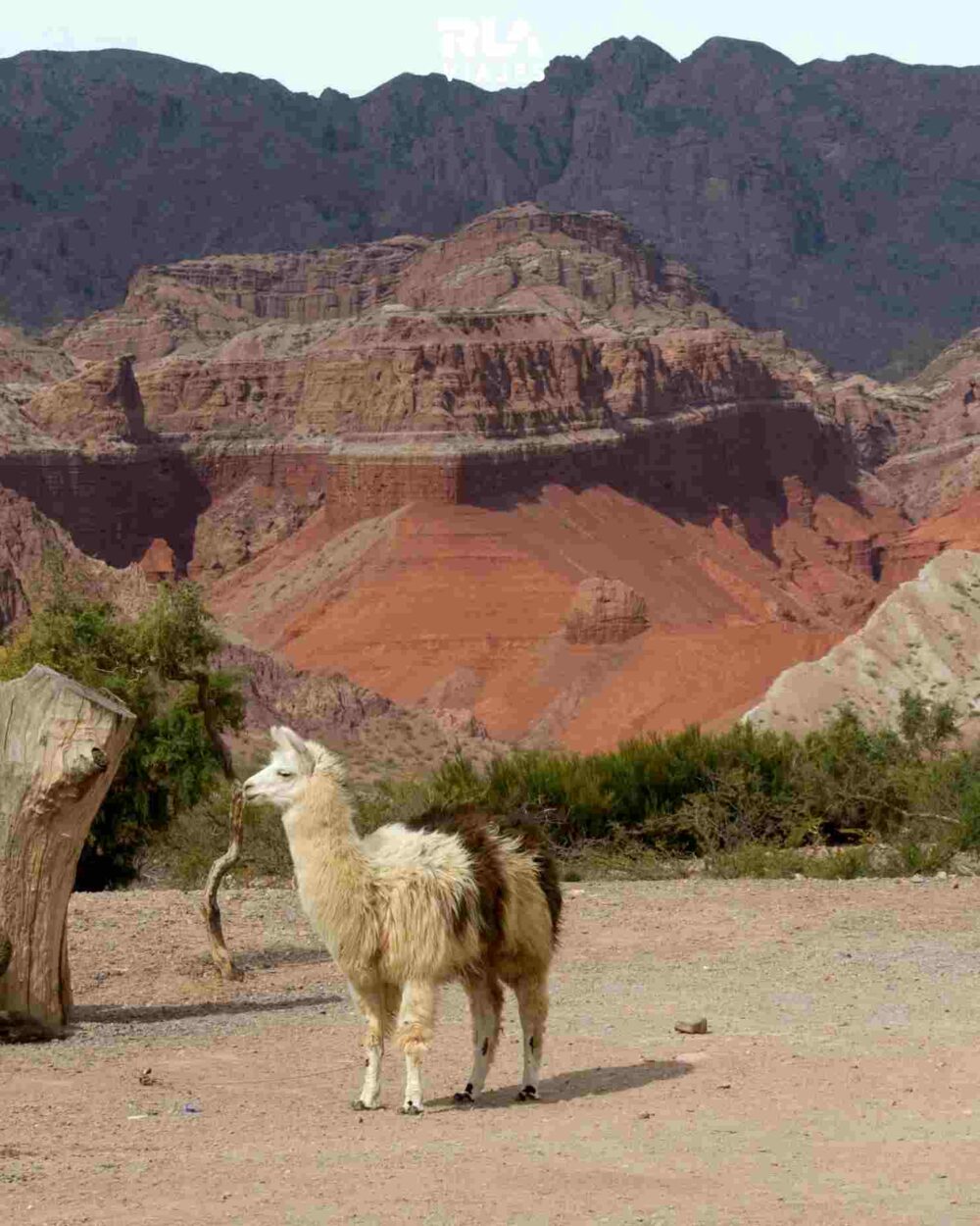 Salta - Agosto y Septiembre 2026